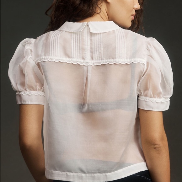 NWT Maeve Short-Sleeve Sheer Scallop-Trim Blouse ANTHROPOLOGIE SZ L NEW - Picture 3 of 3